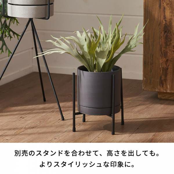 植木鉢 陶器 マット 5号鉢 受皿 底穴あり 中型 Mサイズ 約 W