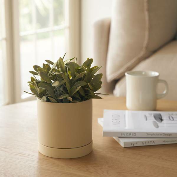 植木鉢 陶器 マット 4号鉢 受皿 底穴あり 小型 Sサイズ 約 W