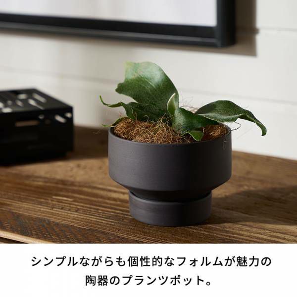 植木鉢 陶器 マット 4号鉢 受皿 底穴あり 小型 ロータイプ 約 W 11.5cm D 11.5cm H 8cm スモーキーブラック ブルー  アイボリー 鉢カバー プランターポット 植木鉢カバー プランターカバー 店舗用 おしゃれ カフェ 北欧 観葉植物 花 多肉植物 インテリア 雑貨  西海岸 [