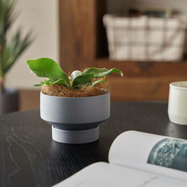植木鉢 陶器 マット 4号鉢 受皿 底穴あり 小型 ロータイプ 約 W