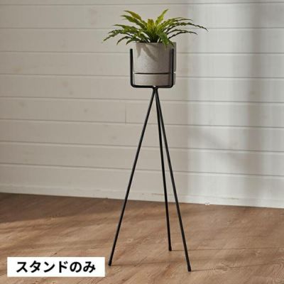 プランタースタンド スタンド フォーク型 アイアン 鉄 直径 25cm 高さ 60cm ブラック 植木鉢スタンド 3号鉢 ガーデン雑貨 ポットスタンド プランターラック フラワースタンド アイアンスタンド シンプル 3本脚 三脚 