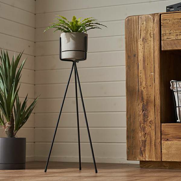 プランタースタンド スタンド フォーク型 アイアン 鉄 直径 25cm 高さ
