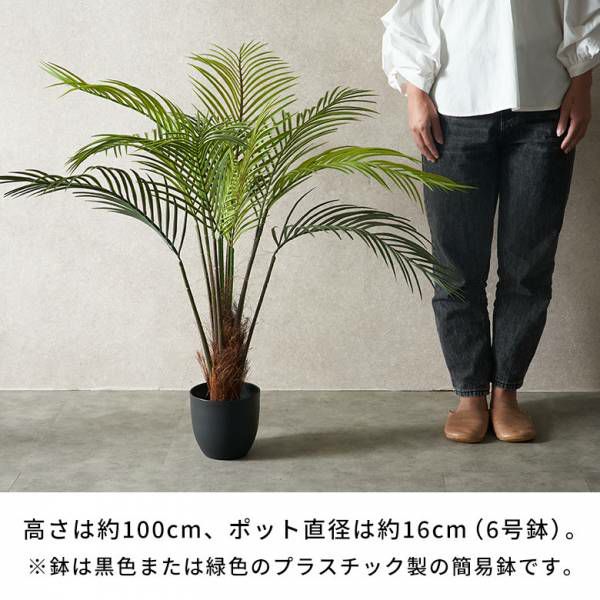 フェイクグリーン ヤシ パームツリー 高さ 100cm 観葉植物 グリーン フラワー 花 アーティフィシャルプランツ フェイクプランツ 多肉植物 造花  アートグリーン ディスプレイ ナチュラル 6号鉢 リビング 寝室 玄関 リゾート おしゃれ 北欧 インテリア 雑貨 西海岸 [94754 ...