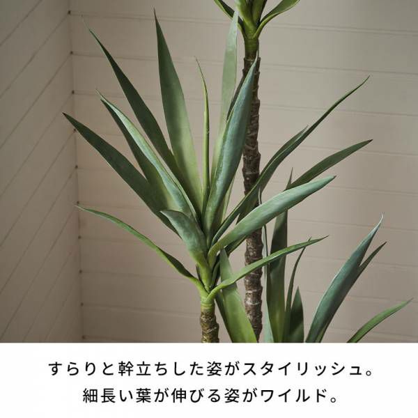 楽天市場】フェイクグリーン 多肉植物 おしゃれ 人気 リアル