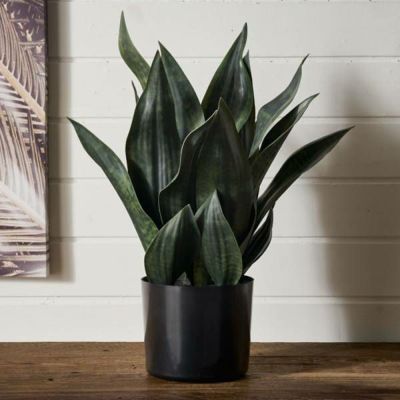 フェイクグリーン サンセベリア サンスベリア 高さ 48cm 観葉植物 グリーン フラワー 花 アーティフィシャルプランツ フェイクプランツ 多肉植物 造花 アートグリーン ディスプレイ ナチュラル 5号鉢 リビング 寝室 