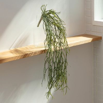 フェイクグリーン リプサリス 高さ 60cm 観葉植物 グリーン フラワー 花 アーティフィシャルプランツ フェイクプランツ 植物 リーフ 造花 アートグリーン ディスプレイ ナチュラル ハンギングブッシュ リビング リゾ