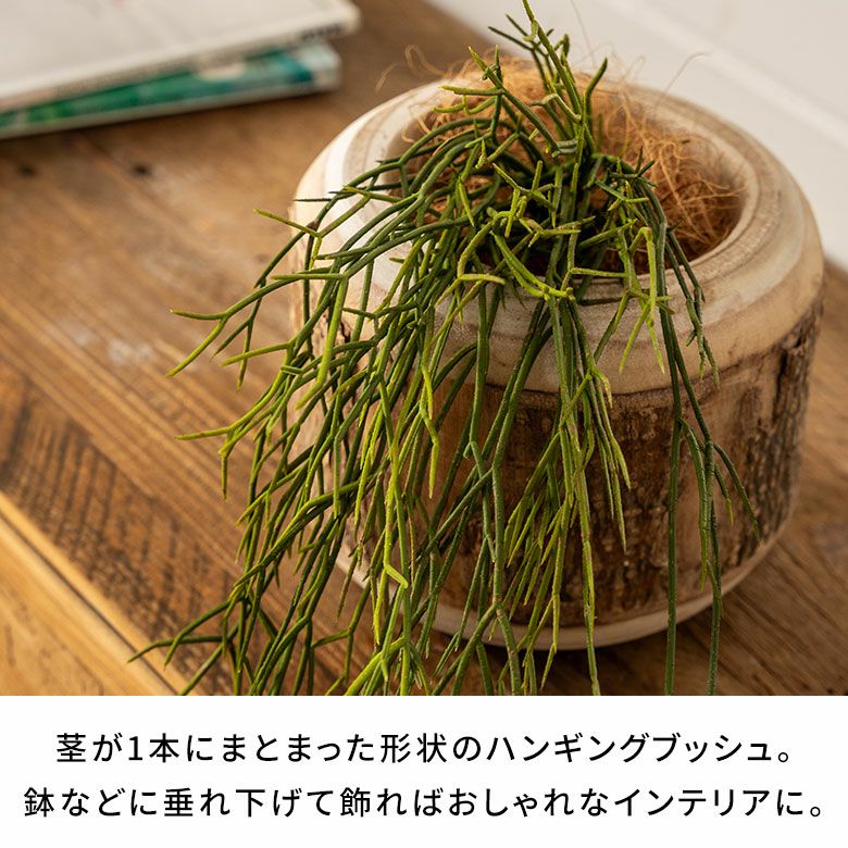 フェイクグリーンリプサリス高さ60cm観葉植物グリーンフラワー花アーティフィシャルプランツフェイクプランツ植物リーフ造花アートグリーンディスプレイナチュラルハンギングブッシュリビングリゾートおしゃれ北欧インテリア雑貨西海岸[94760]