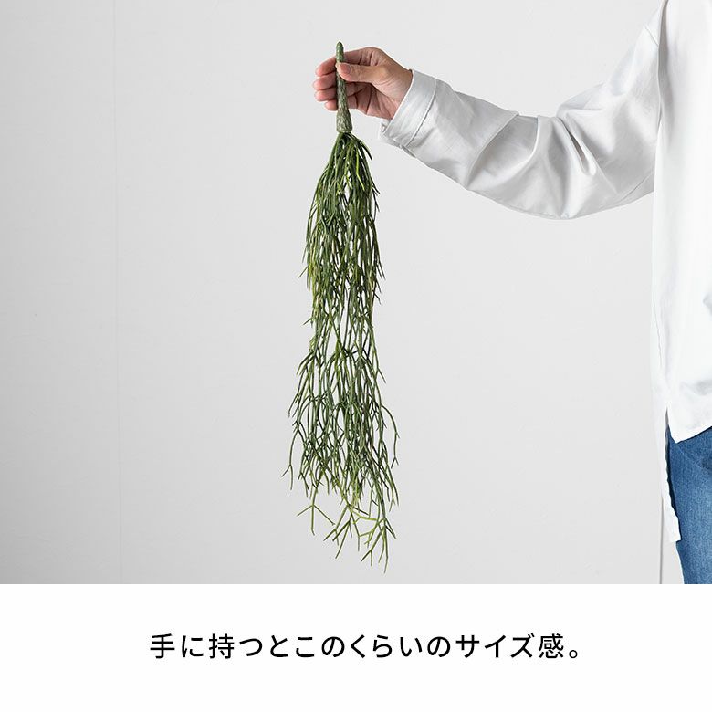 フェイクグリーンリプサリス高さ60cm観葉植物グリーンフラワー花アーティフィシャルプランツフェイクプランツ植物リーフ造花アートグリーンディスプレイナチュラルハンギングブッシュリビングリゾートおしゃれ北欧インテリア雑貨西海岸[94760]