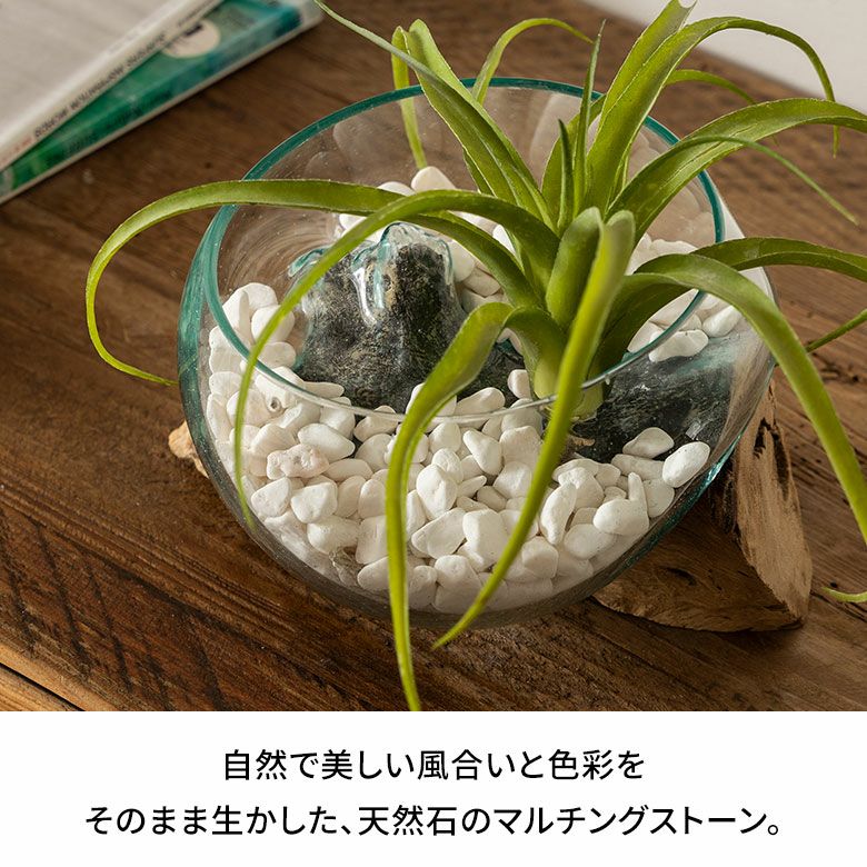 マルチングストーン 天然石 600g 化粧石 飾り石 ホワイト ブラック