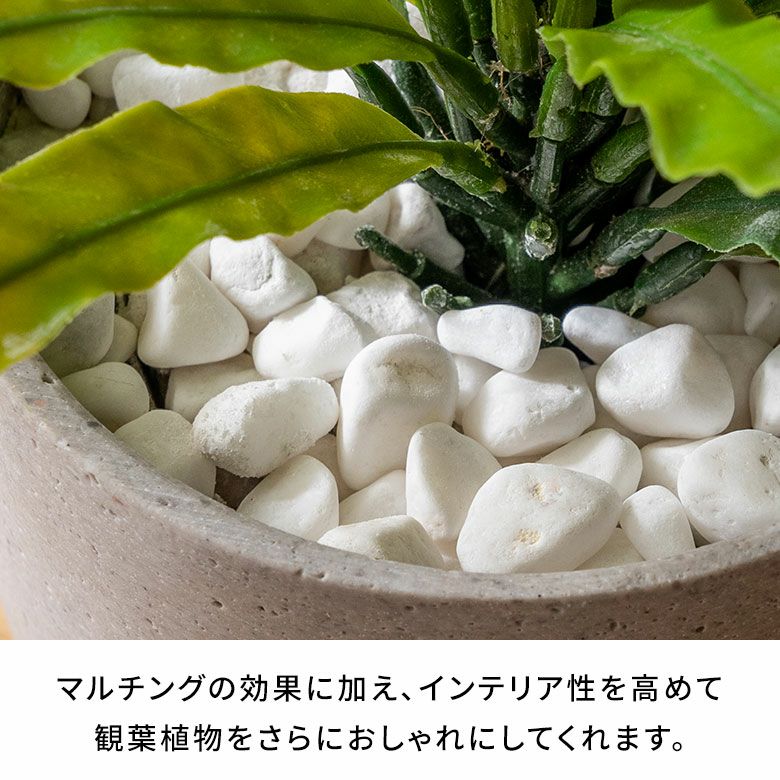 マルチングストーン 天然石 300g 化粧石 飾り石 ホワイト ブラック