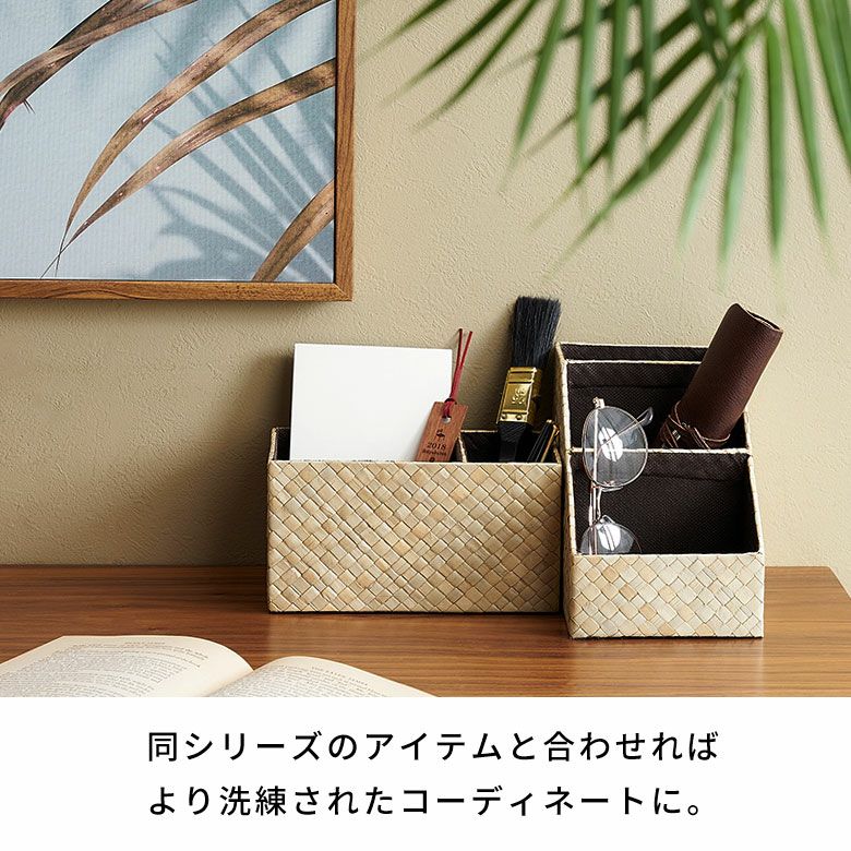 ペン立て マルチスタンドケース 小物収納 パンダン 約 W 18.5cm