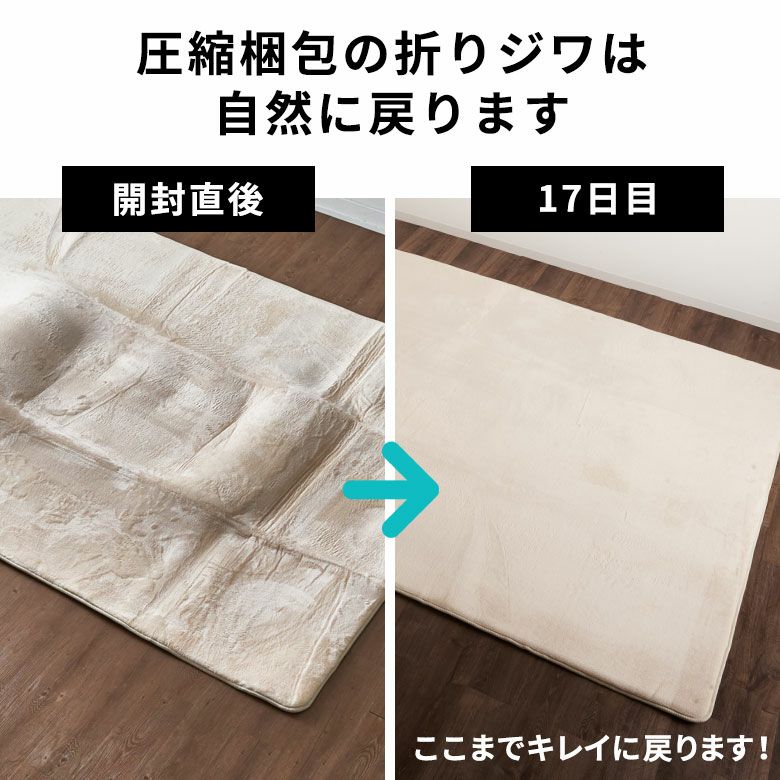 ラグ ストア 段差解消