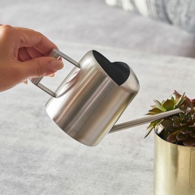 お部屋の観葉植物の水やりにちょうどいい、ステンレスでできたミニマルでシンプルな小さなじょうろ[ 94844 ]