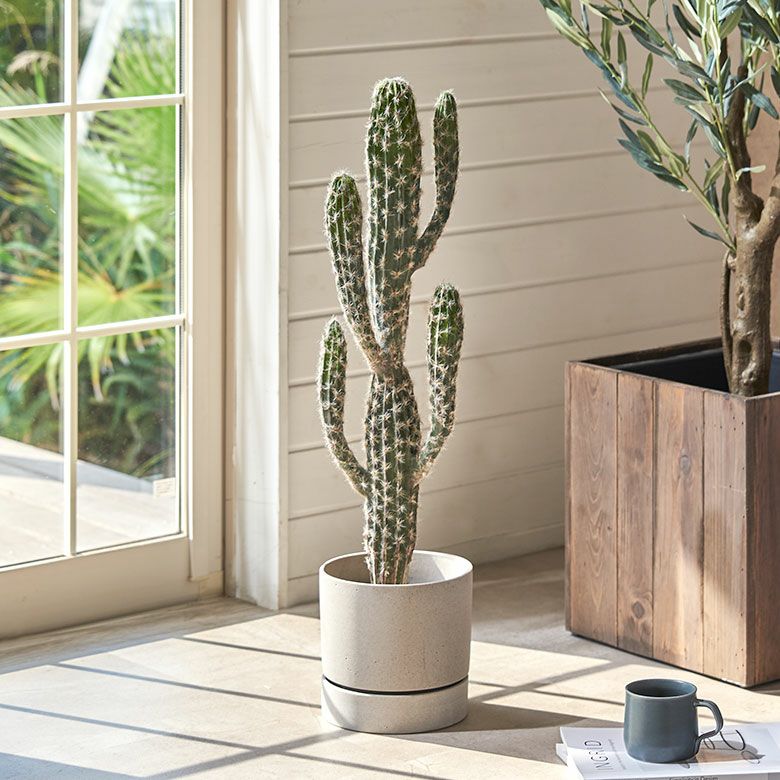 水やりの要らないリアルな造花 柱サボテンのフェイクグリーン[94860