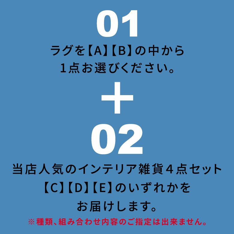 2025年新春福袋5点入り選べるラグ送料無料福袋セット初売りHAPPYBAGラグ生活雑貨雑貨インテリア大入り年末年始西海岸塩系男前ELEMENTS[hb2025-e7500]