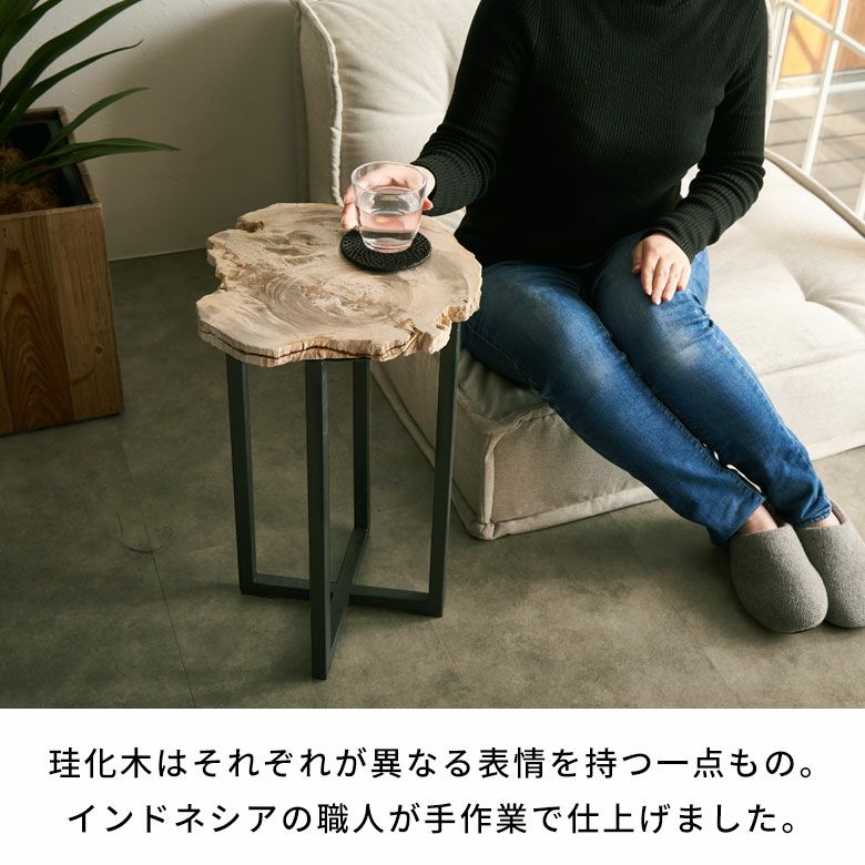 貴重な木化石のスツールとテーブル