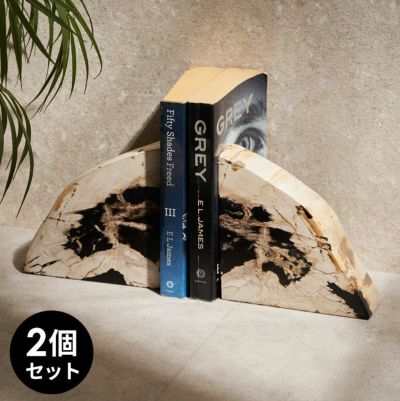 大自然の歴史を纏う木の化石フォッシルストーンで作られたブックエンド [14247]