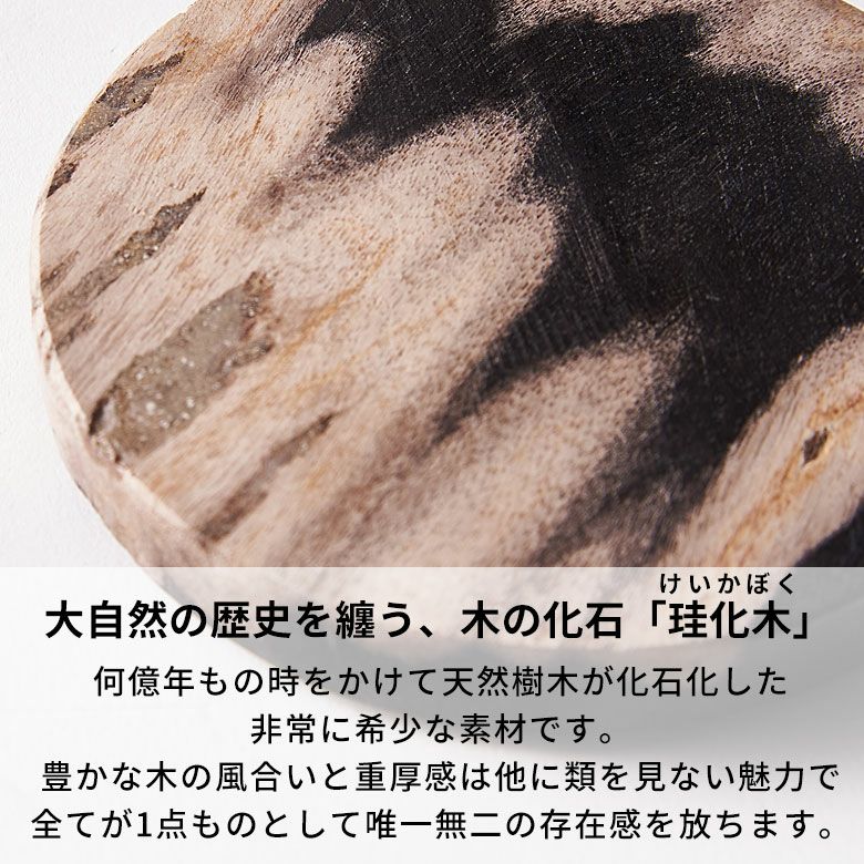 フォッシルストーンと呼ばれる木の化石で作られた丸いコースター