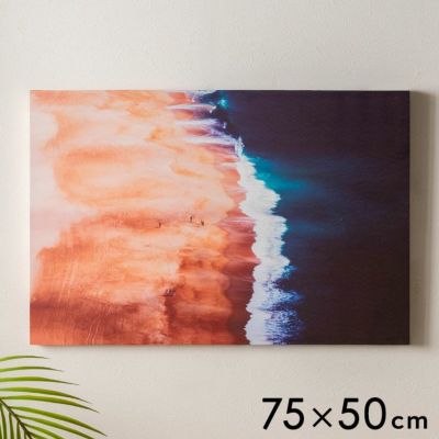 澄んだブルーに熟れたパパイヤが映えるアートパネル[Tropic][67218